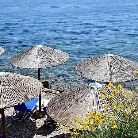 فندق Lido Corfu Sun 4 Stars 4*
