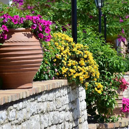 Otel Lido Corfu Sun 4 Stars 4*