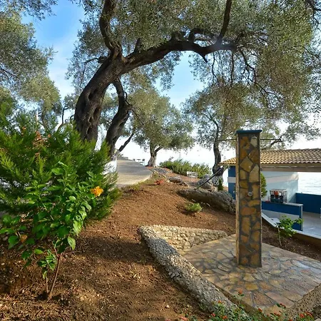 Lido Corfu Sun 4 Stars فندق